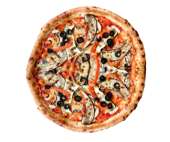 oben Aussicht von Margherita Pizza auf transparent Hintergrund. neapolitanisch Pizza mit Gewürze, Tomaten und Mozzarella Käse. Pizza mit Mozzarella Käse, Tomate Soße, Spinat auf dick Teig. png