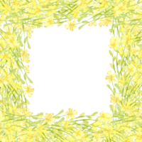 amarelo flores, pequeno flores silvestres, quadrado quadro, Armação aguarela ilustração. verão Prado com floral impressão e flores silvestres. isolado a partir de a fundo. para concepção cartões, convites, Casamento decoração, png