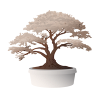 bonsai boom in bloempot geïsoleerd grafisch geïllustreerd. png