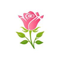 Pink rose flowers, floral decorated with gorgeous multicolored blooming flowers and leaves border. Spring botanical flat illustration on white background vector