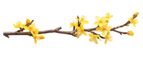 gul blommig kvist element med genomskinlighet png