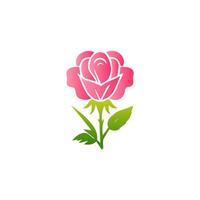 Pink rose flowers, floral decorated with gorgeous multicolored blooming flowers and leaves border. Spring botanical flat illustration on white background vector