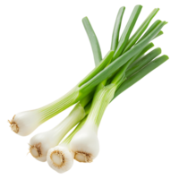 Fresh Green Onion on Transparent Isolated Image png