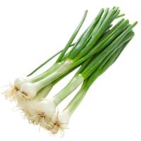 Isolated Vibrant Green Onion with Alpha Channel png