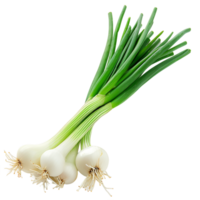 Transparent Background Isolated Fresh Green Onion png