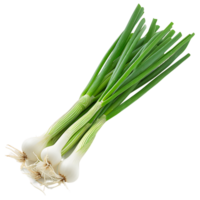 Transparent Background Isolated Vibrant Green Onion png