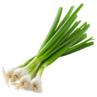 Transparent Cutout of Crisp Green Onion png