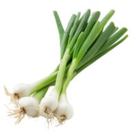 Isolated Fresh Green Onion Transparent Background png