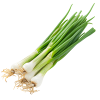 Transparent Fresh Green Onion Isolation png