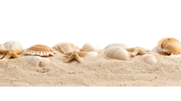 Isolated Sandy Beach with Alpha Channel png