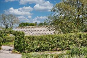 Greenhouse in a lush garden on a partly cloudy day photo