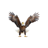 Majestic Bald Eagle with Spread Wings png