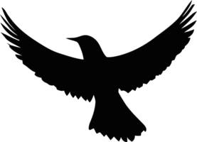 Silhouette of bird flying in the sky png