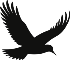 Silhouette of bird flying in the sky png