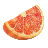 Grapefruit slice on transparent background png