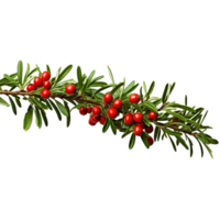 AI-Generated red berries on a branch with leaves on a transparent background png