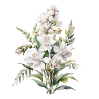 vattenfärg blommig blomma design, vattenfärg blomma arrangemang blommig, vattenfärg blomma bukett, vattenfärg blomma design png