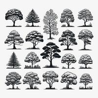 silhouette tree line drawing set, Side view, set of graphics trees illustration i vector