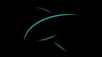 Effect animation loop video
