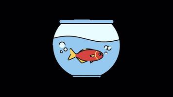 Fishbowl animated motion graphic with alpha channel. video