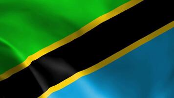 Tanzania flag in the wind. Detailed fabric texture. video