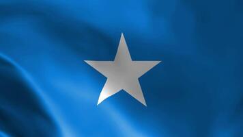 somali Flagge im das Wind. detailliert Stoff Textur. nahtlos geloopt Animation. video