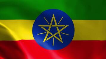 Ethiopisch vlag in de wind. gedetailleerd kleding stof textuur. video