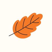 Simple Summer Leaf Autumn Leaf Element vector