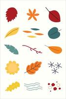 Simple Summer Leaf Autumn Leaf Element Bundle vector