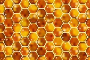 Honeycomb realistic background vector