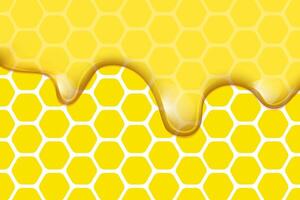 Liquid honey background with honeycombs vector