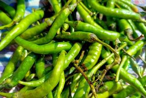 cerca arriba parte superior ver de recién cosechado verde chiles foto