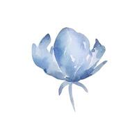 azul flor, acuarela florecer flores vector