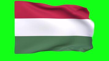acenando bandeira do Hungria animação 3d render método video