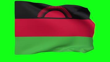 Waving flag of Malawi Animation 3D render Method video