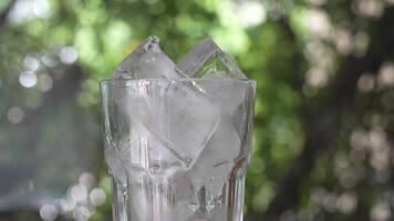 lent mouvement et tourner coup de la glace cubes fabriqué de le frigo dans verre. la glace dans transparent verre contre la nature Contexte. concept pour fabrication fait maison des cocktails ou refroidissement un soda les boissons video