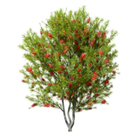 tagliare su albero fiorito forme in piedi 3d illustrazione png