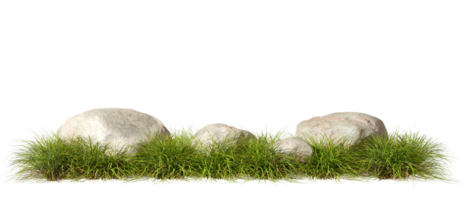 Greenery grass fields meadow row with rock composition cutout backgrounds 3d rendering png