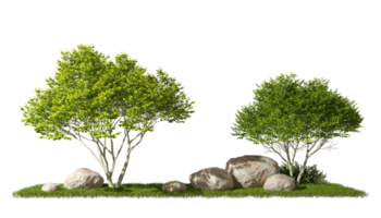 Cut out gardening trees composition design layout 3d rendering png