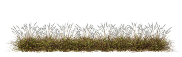 Nature prairie grass meadow horizontal row 3d rendering file png