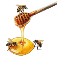 honing druipend van beer met bijen , zoet, natuurlijk, biologisch, nectar, voedsel, gezond, verrukkelijk, gouden honing png