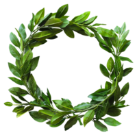 Green Laurel Wreath Isolated on Transparent Background png