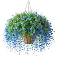 hangende fabriek met blauw bloemen png