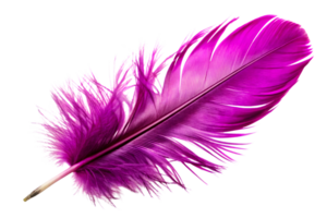 A Lightweight Purple Feather png