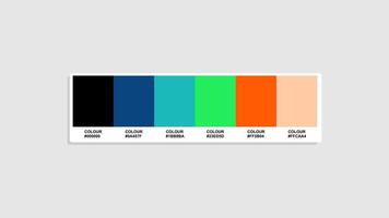 modern Color Guide Palette with Color Names. Catalog Samples colour with RGB HEX codes and Names. Poster and background Colors Palette, Poster Color Palette, Fashion Trend playful Color Palette vector