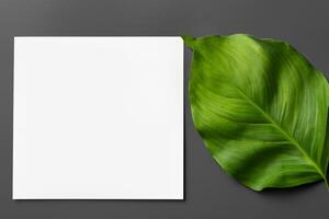 Wooden Background Combined with Leaves Enhances the Elegance of Paper, Creating a Stunning Composition Inspired by Nature's Harmony photo