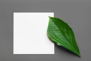 Wooden Background Combined with Leaves Enhances the Elegance of Paper, Creating a Stunning Composition Inspired by Nature's Harmony photo