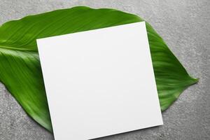 Wooden Background Combined with Leaves Enhances the Elegance of Paper, Creating a Stunning Composition Inspired by Nature's Harmony photo