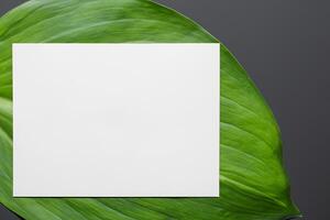 Wooden Background Combined with Leaves Enhances the Elegance of Paper, Creating a Stunning Composition Inspired by Nature's Harmony photo