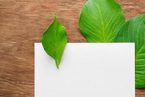 Wooden Background Combined with Leaves Enhances the Elegance of Paper, Creating a Stunning Composition Inspired by Nature's Harmony photo